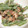 卵せんべい's cooksnap of when they made マヨがみそ！インゲンの和えもの.