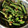 ameうめ's cooksnap of when they made 簡単♪いんげんの胡麻和え.