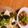クックAMR☆'s cooksnap of when they made ナス豚バラ 味噌味.