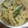 もりのりころ's cooksnap of when they made 【龍愛】豚肉とにんにくの芽のスタミナ炒め.