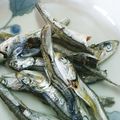 あたりめっこ's cooksnap of when they made 得する人損する人★煮干しで即席生ふりかけ.