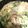 クック76ABTD☆'s cooksnap of when they made 鶏肉と白菜・豆苗のクリーム煮.