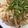 クックPT05YQ☆'s cooksnap of when they made ✿たらこふりかけdeたらこバターうどん✿.