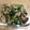 クック3Q6WFP☆'s cooksnap of when they made 簡単☆豚レタス炒め.