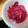賢くんママ's cooksnap of when they made ５分で完成！酢玉ねぎ.
