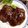 シェフ敬三's cooksnap of when they made ふわふわ基本のハンバーグ♪.