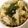 miokon's cooksnap of when they made 木の葉丼.