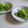 にゃんがす's cooksnap of when they made みずのお浸し.