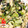 Emiii28's cooksnap of when they made お弁当に！塩昆布とじゃがと青梗菜炒め.