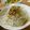 低カロ探検隊's cooksnap of when they made もやしのシーチキン黒酢だれ.