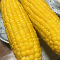 miki_iv's cooksnap of when they made 甘くて鮮やか❤とうもろこしの茹で方♪.