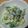 かんちゃん１２１０'s cooksnap of when they made 超簡単！水菜とかにかまのサラダ.