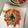 GoGo島みかん's cooksnap of when they made 鯛のシンプルカルパッチョ！.