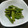 ☆ありあ☆'s cooksnap of when they made 簡単♪いんげんの胡麻和え.