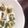 マリリンハウス's cooksnap of when they made 離乳食 アレンジトースト♪.