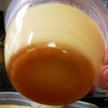 ちこね's cooksnap of when they made ユーチュブで高評価レンジで作る簡単プリン.