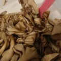 たけなお☆'s cooksnap of when they made レンチン！簡単！舞茸とえのきのマリネ♡.