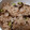 かなた！'s cooksnap of when they made 桜えびと塩昆布の炊き込みご飯.