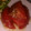 makichaki's cooksnap of when they made 簡単お通し☆トマトと玉ねぎのマリネ.