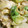 やぁちゃん0420's cooksnap of when they made シャキシャキレタスと卵炒め.