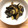 デッポン's cooksnap of when they made なすのからしこうじ漬け.