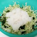 ポニーリボン's cooksnap of when they made 胃もたれに◎キャベツと大根おろしのサラダ.