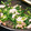 かみわかめ's cooksnap of when they made ほうれん草のバター炒め.