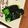 mami♪123's cooksnap of when they made 小松菜の海苔巻き.