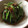 かよばぁ's cooksnap of when they made 誰でも作れる☆ほうれん草のなめ茸和え.