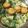 クックPX4GUB☆'s cooksnap of when they made 長芋とがんもどきの生姜煮.