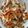 かなえッティ's cooksnap of when they made 基本のソース焼きそば.