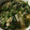 くっくはるちゃん's cooksnap of when they made ☆副菜！小松菜と油揚げとしめじの煮浸し☆.