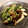 たんく３１'s cooksnap of when they made エノキとオクラのさっぱり和え.