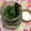 ぽぽきゅ's cooksnap of when they made えごまの保存方法.