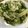 nabeo_mio_'s cooksnap of when they made 材料はレタスとニンニクのみ！レタス炒め.