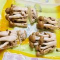 アイリッシュショコラ's cooksnap of when they made 洗い物なし！手間なし！*しめじの切り方*.