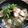 マユえもん's cooksnap of when they made 冷や汁.