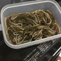 apyu's cooksnap of when they made 簡単！なんちゃって松前漬け!(^^)!.