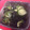 Тика's cooksnap of when they made わかめときゅうりの酢の物.