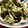 クックHWY2KF☆'s cooksnap of when they made きゅうりとみょうがの酢の物ﾟ+.♡.
