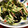 クックHWY2KF☆'s cooksnap of when they made きゅうりとみょうがの酢の物ﾟ+.♡.