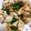 クックFZJ2CI☆'s cooksnap of when they made 簡単☆美味しい～鶏肉とオクラの梅炒め♪.