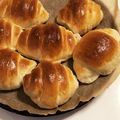 プリモモンガ's cooksnap of when they made 定番バターロール生地（ＨＢ）.