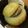 peanut32m's cooksnap of when they made 丸ごと玉ねぎの肉詰め.