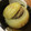 peanut32m's cooksnap of when they made 丸ごと玉ねぎの肉詰め.