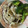 クック1FX93J☆'s cooksnap of when they made 簡単手作り☆焼き肉、しゃぶしゃぶのタレ.