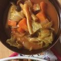 ルルルるか☆'s cooksnap of when they made 野菜ジュースで！簡単野菜スープ.