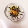 LuckyBerry's cooksnap of when they made 塩昆布で醤油はいらない！卵かけご飯☆.