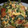 星空ひつじ's cooksnap of when they made イタリアンなほうれん草の卵とじ.