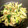 クック7SO4WN☆'s cooksnap of when they made セロリと搾菜の塩生姜炒め.